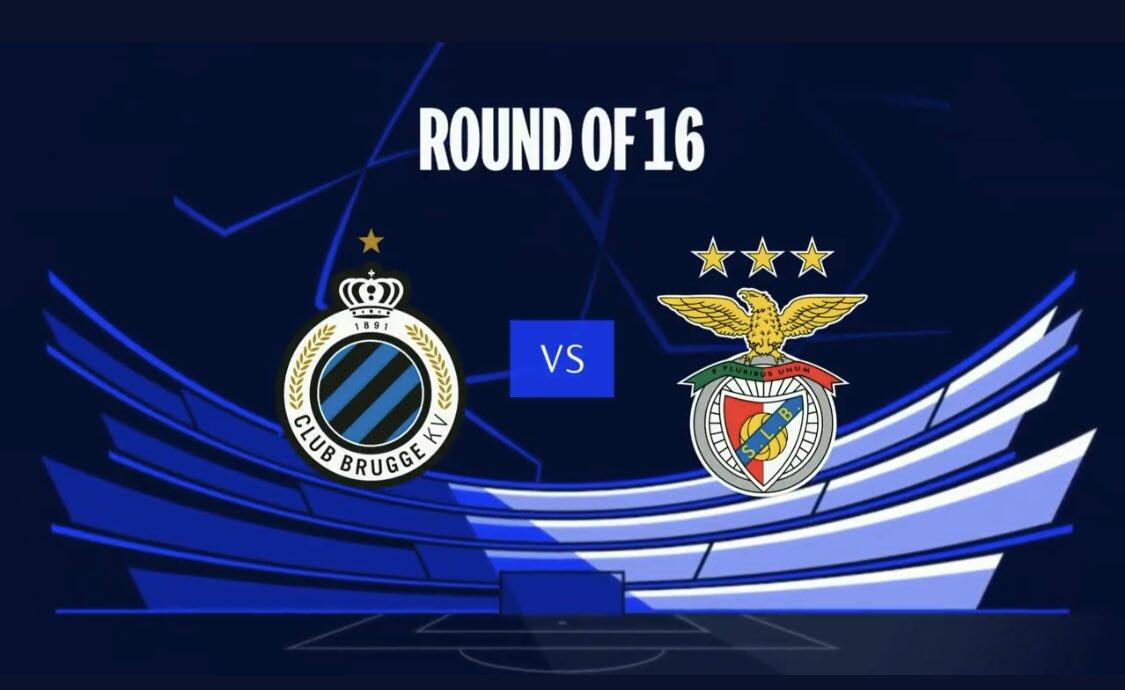 对未来的期 对未来的期